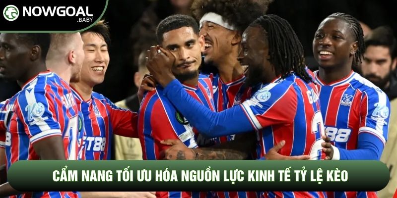 Cẩm nang tối ưu hóa nguồn lực kinh tế tỷ lệ kèo