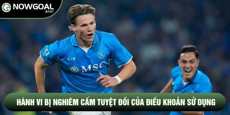 Hành vi bị nghiêm cấm tuyệt đối của điều khoản sử dụng Hành vi bị nghiêm cấm tuyệt đối của điều khoản sử dụng