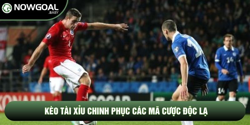 Kèo tài xỉu chinh phục các mã cược độc lạ Kèo tài xỉu chinh phục các mã cược độc lạ