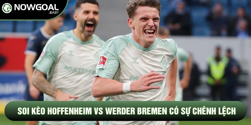 Soi kèo Hoffenheim vs Werder Bremen có sự chênh lệch