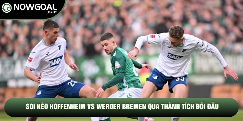 Soi kèo Hoffenheim vs Werder Bremen qua thành tích đối đầu
